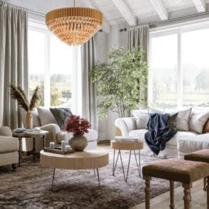 Modern Oasis Living Room Design